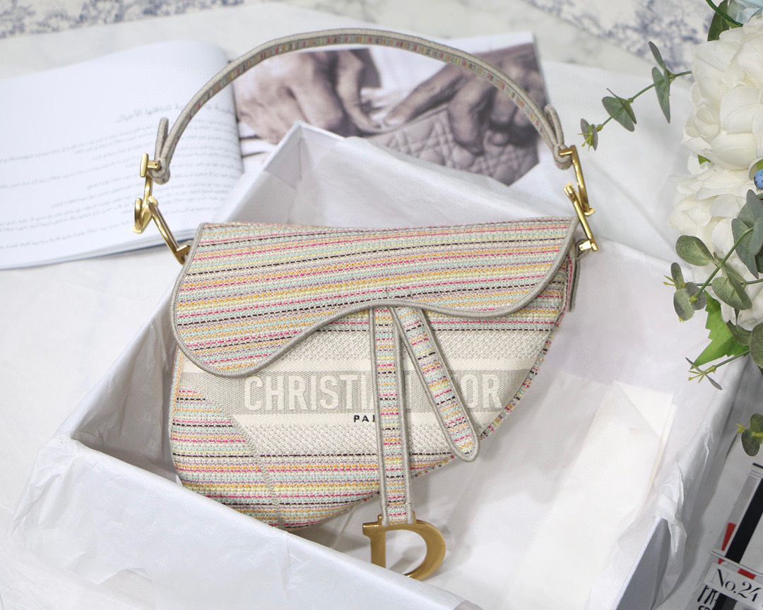 DIOR Embroidery Striped Color SADDLE BAG M0446C Beige