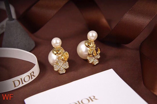 Dior Earrings CE6478