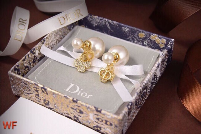Dior Earrings CE6478