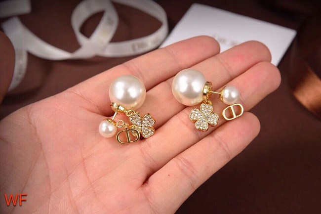 Dior Earrings CE6478