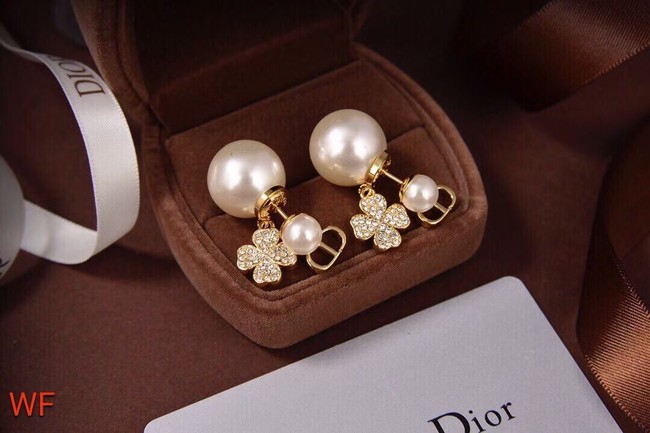 Dior Earrings CE6478