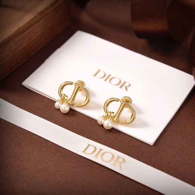 Dior Earrings CE6480