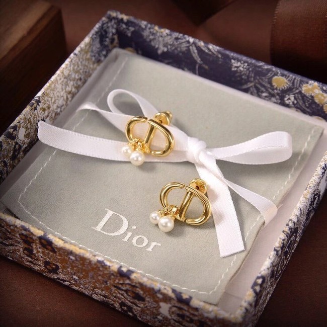 Dior Earrings CE6480