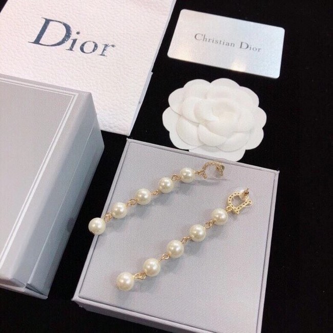 Dior Earrings CE6489