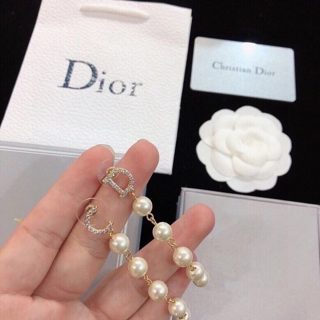 Dior Earrings CE6489