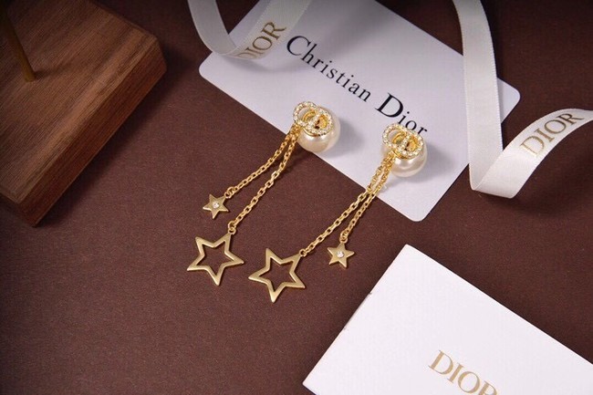Dior Earrings CE6494