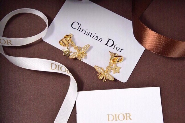 Dior Earrings CE6495