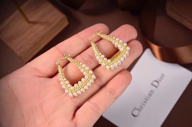 Dior Earrings CE6497