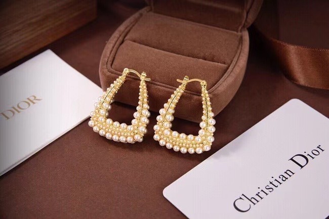 Dior Earrings CE6497