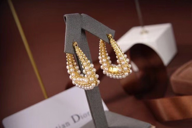 Dior Earrings CE6497