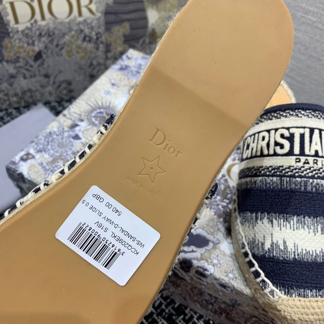 Dior Shoes 51210