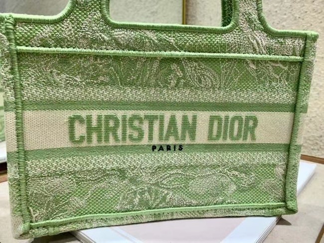 MINI DIOR BOOK TOTE Embroidery S5475Z green