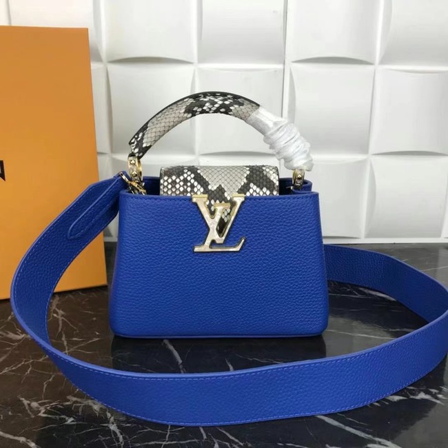 Louis Vuitton CAPUCINES MINI M99676 blue