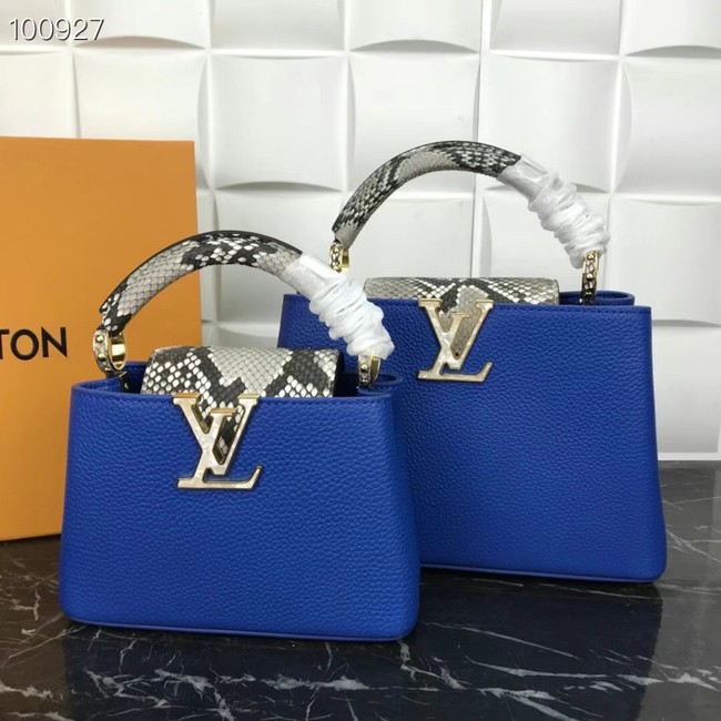 Louis Vuitton CAPUCINES MINI M99676 blue