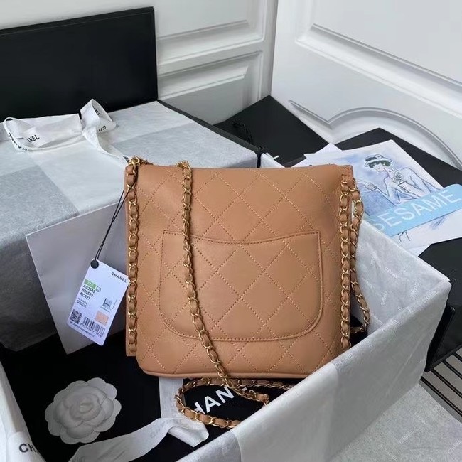 Chanel small hobo bag AS2543 AS2542 brown