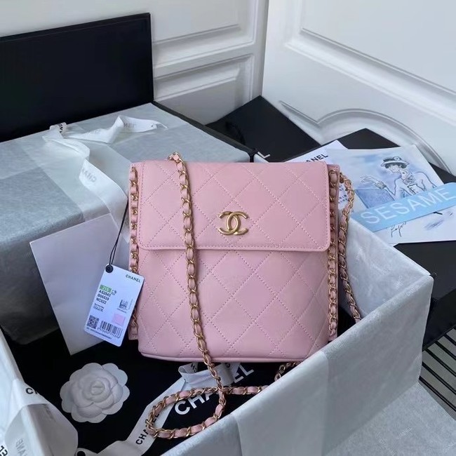 Chanel small hobo bag AS2543 AS2542 pink