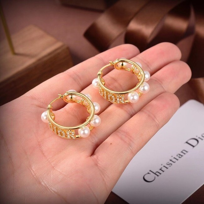Dior Earrings CE6503