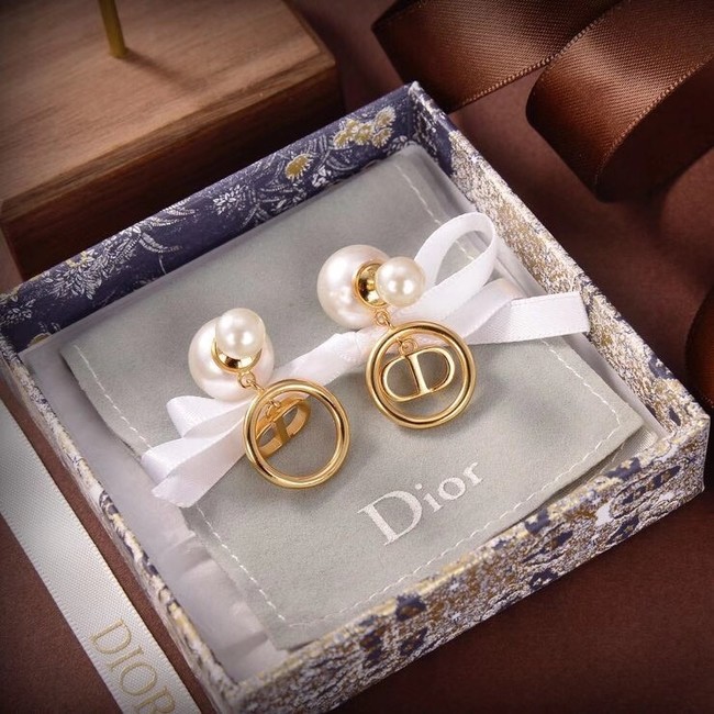 Dior Earrings CE6504