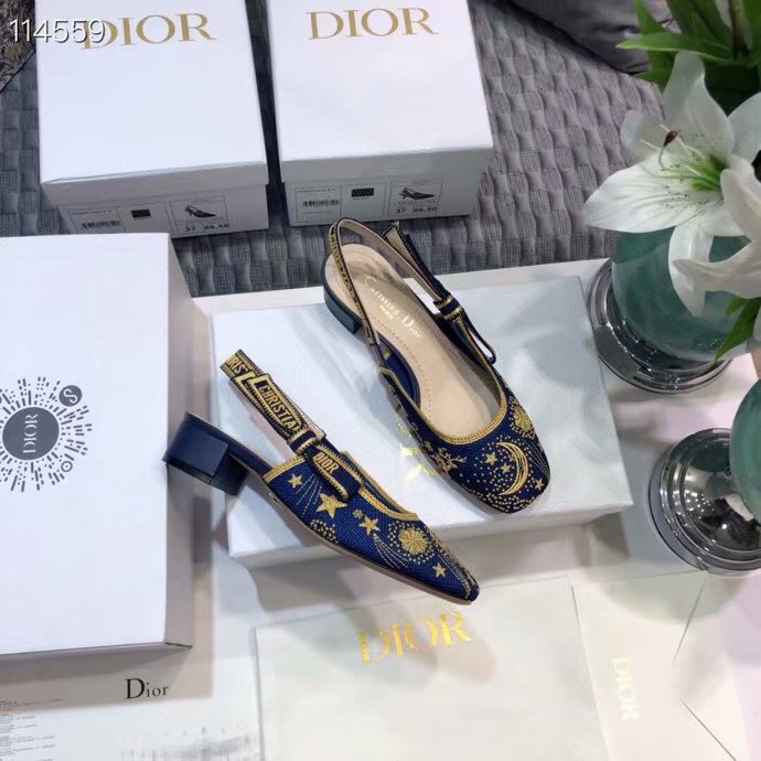 Dior Shoes Dior775DJ-2