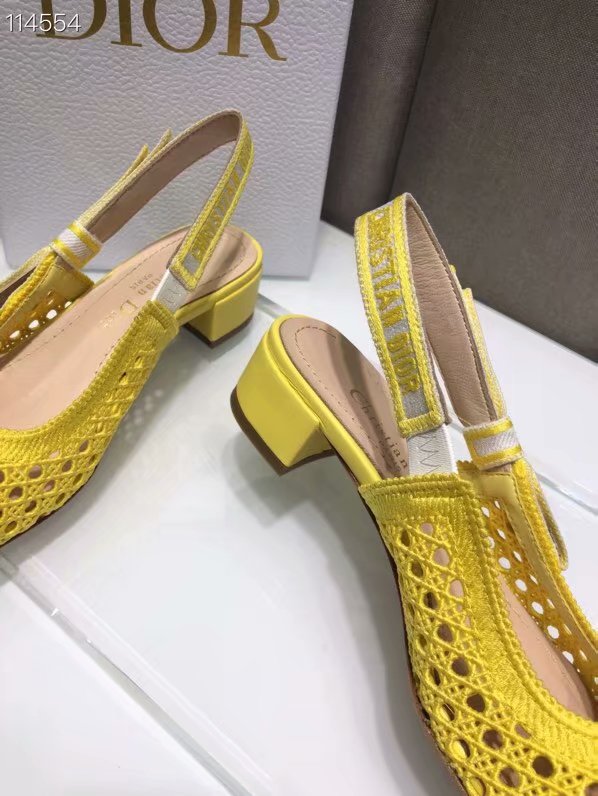 DIOR & MOI SLINGBACK PUMP Mesh Cannage Embroidery Dior777DJ-2