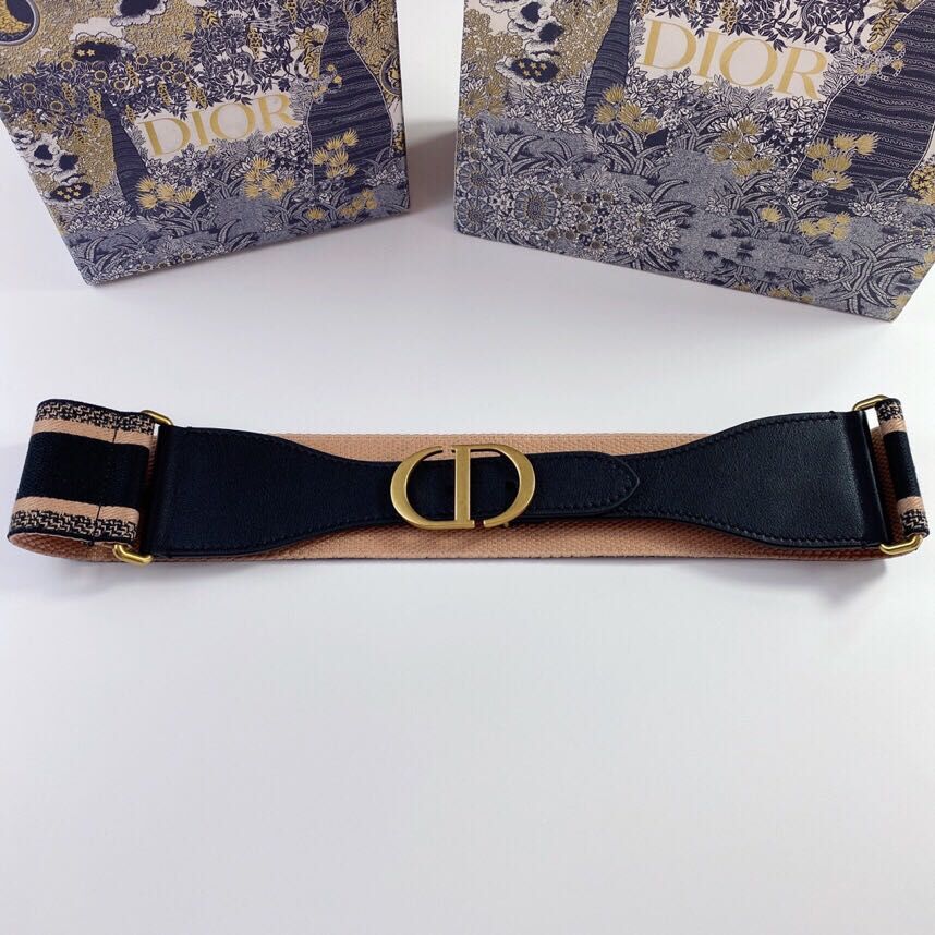 Dior Belt Embroidered Canvas M929 Blue & Cream