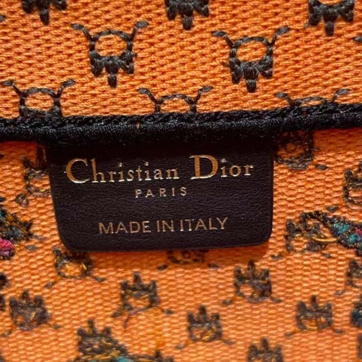 DIOR BOOK TOTE Orange Multicolor Dragon & Fire Embroidery M1286ZR