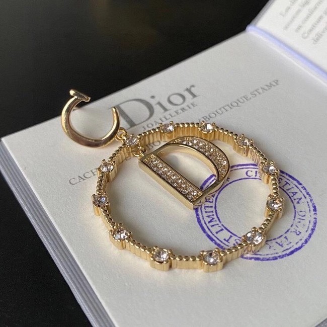 Dior Earrings CE6548