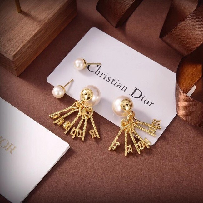 Dior Earrings CE6550