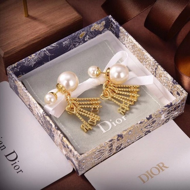 Dior Earrings CE6550