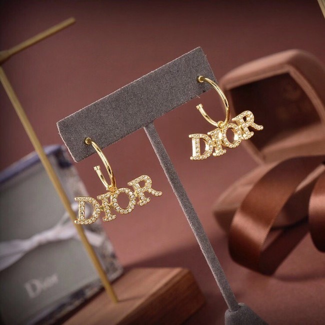 Dior Earrings CE6555
