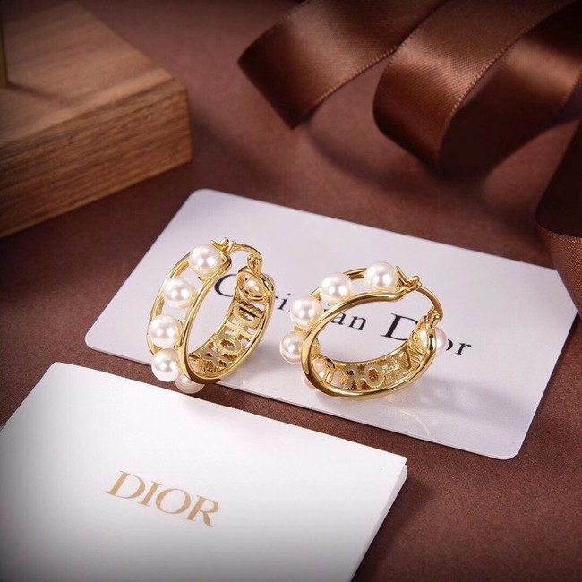 Dior Earrings CE6556