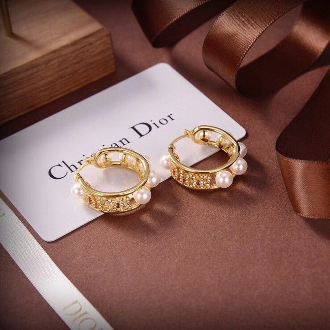 Dior Earrings CE6556