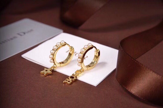 Dior Earrings CE6557