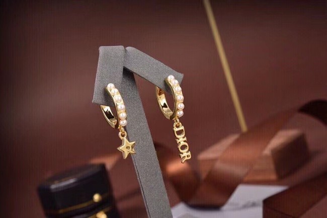 Dior Earrings CE6557
