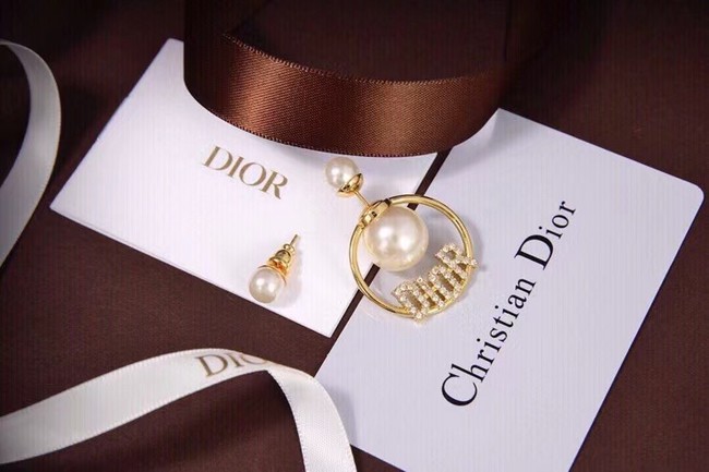 Dior Earrings CE6558