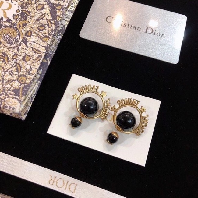 Dior Earrings CE6559