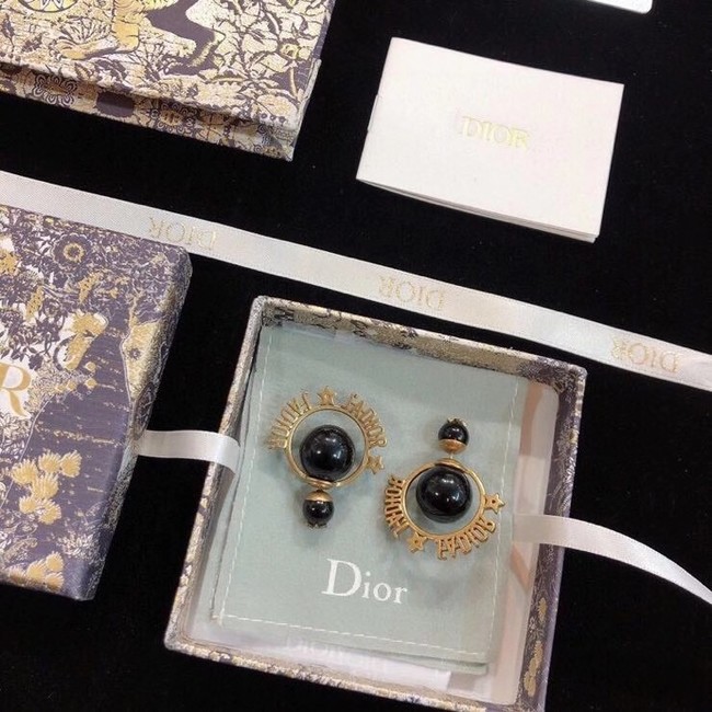 Dior Earrings CE6559