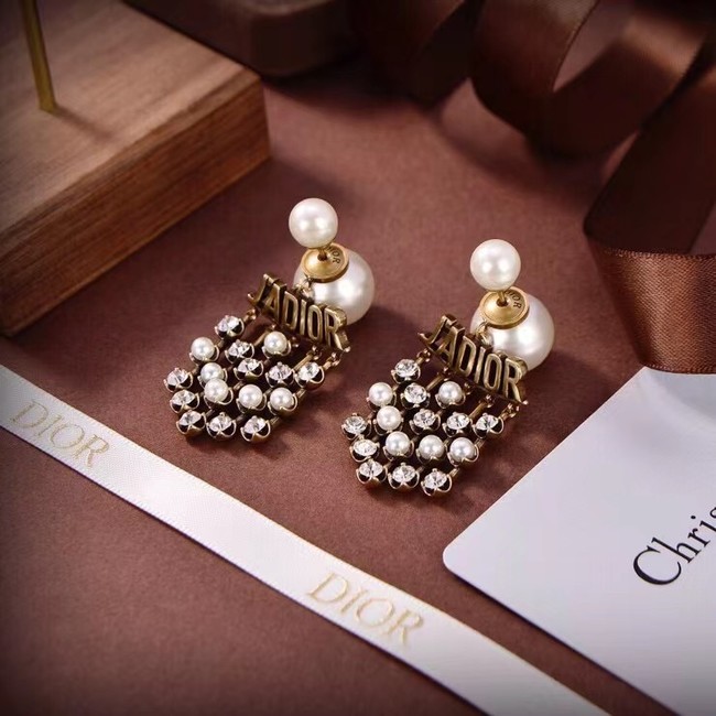 Dior Earrings CE6583