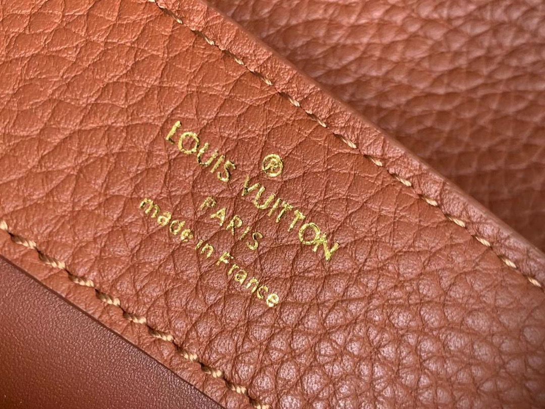 Louis Vuitton CAPUCINES Original Leather PM M96467 Brown