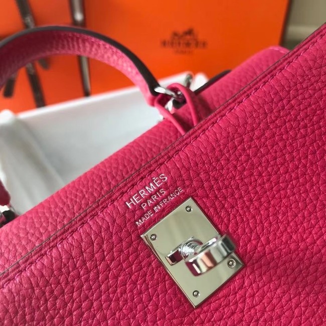 Hermes Birkin Togo Leather 22590 rose