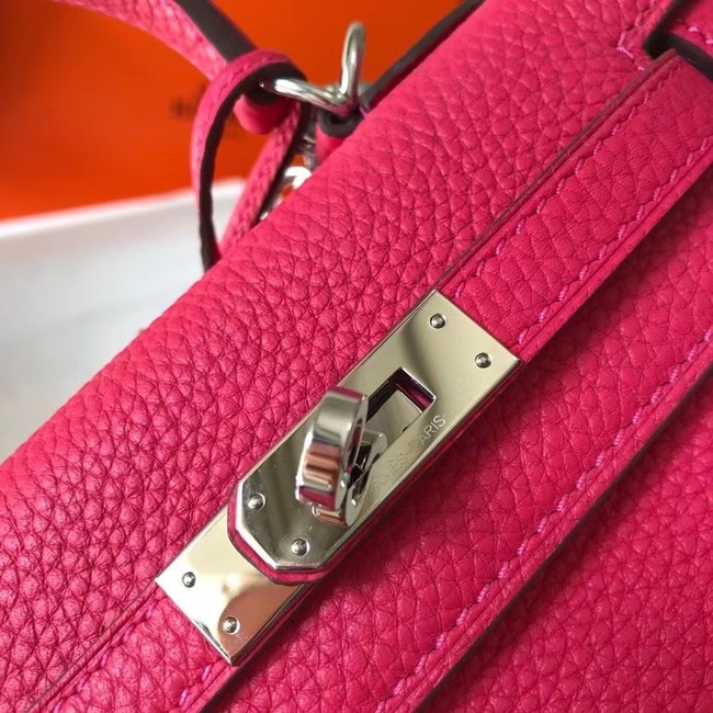 Hermes Birkin Togo Leather 22590 rose