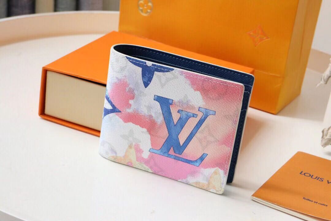 Louis Vuitton SLENDER WALLET M80590 Watercolor