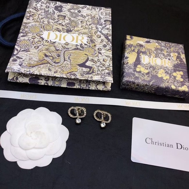 Dior Earrings CE6605