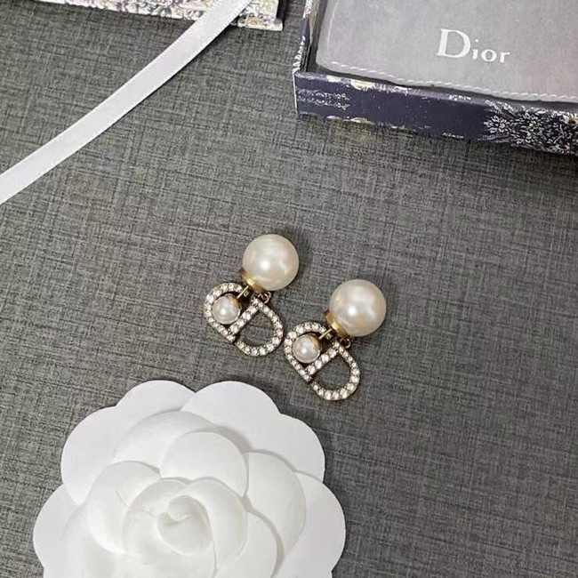 Dior Earrings CE6616