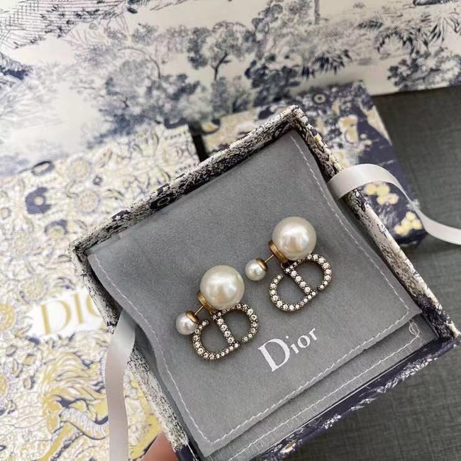 Dior Earrings CE6616