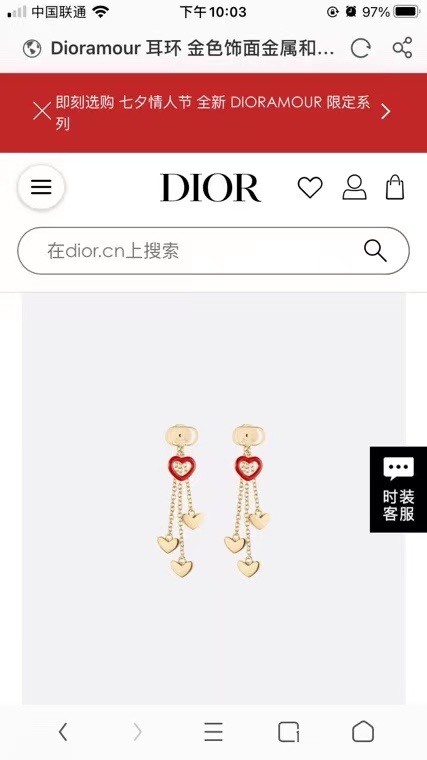 Dior Earrings CE6641