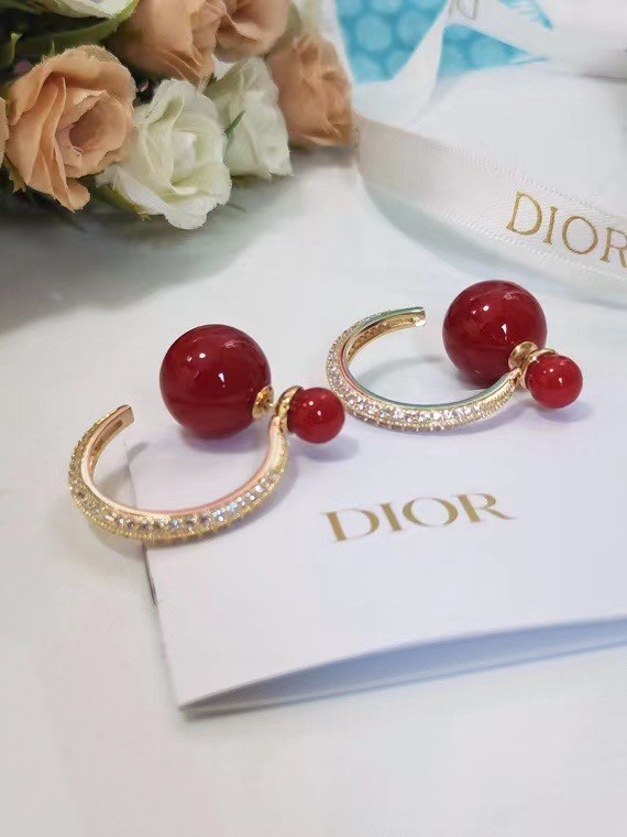 Dior Earrings CE6652