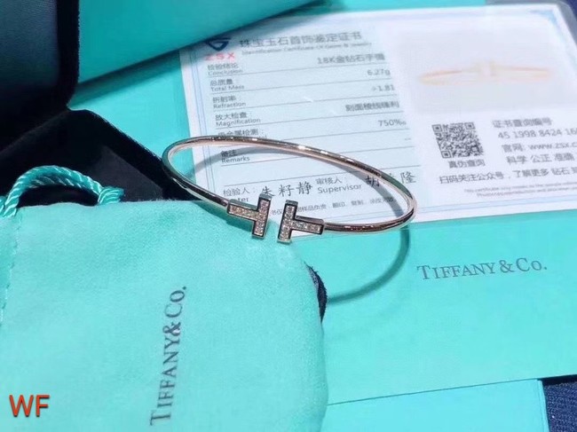 TIFFANY Bracelet CE6667