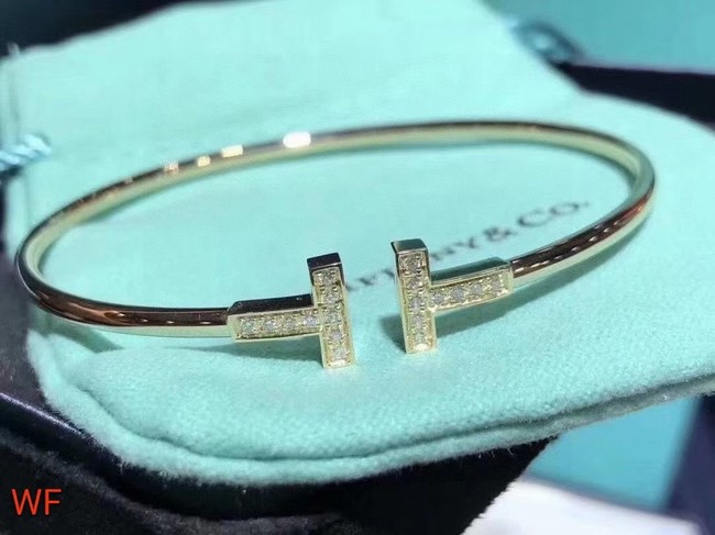 TIFFANY Bracelet CE6667