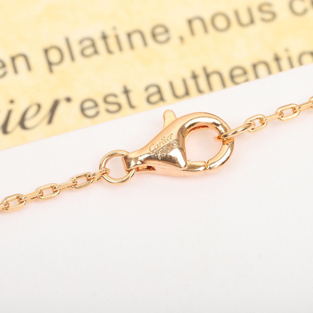 Cartier Necklace CN36255